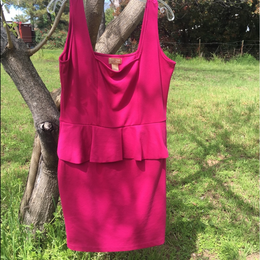 Miss Tina Hot Pink Dress